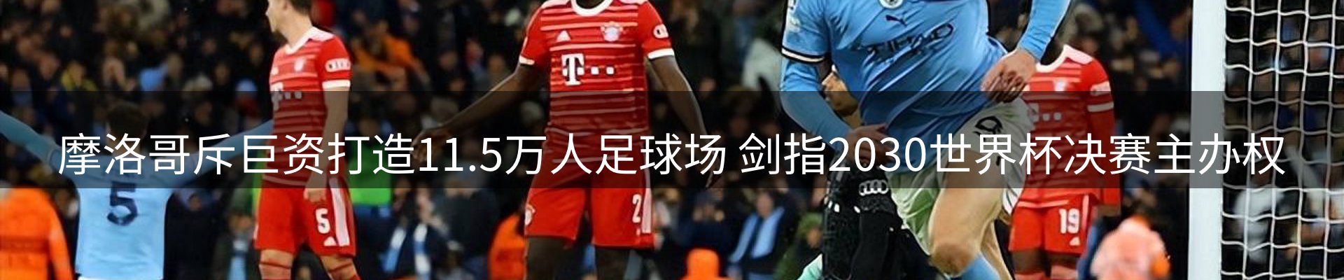 网站资讯