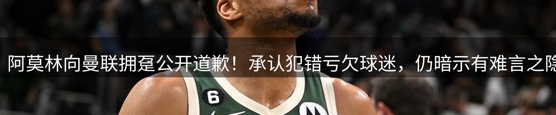 网站资讯